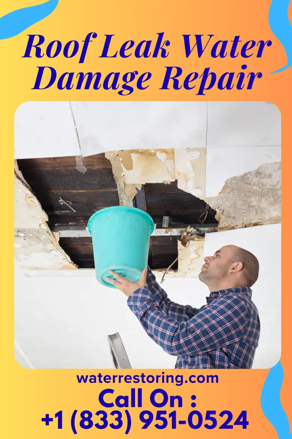 Roof Leak Water Damage Repair in Warrens, WI