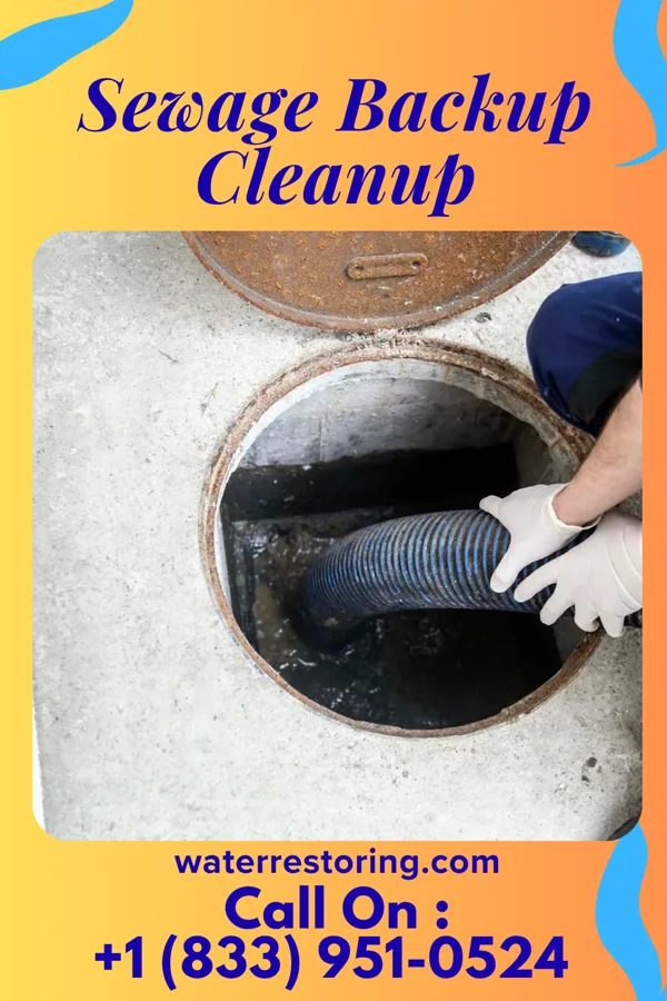 Sewage Backup Cleanup in Warrens, WI